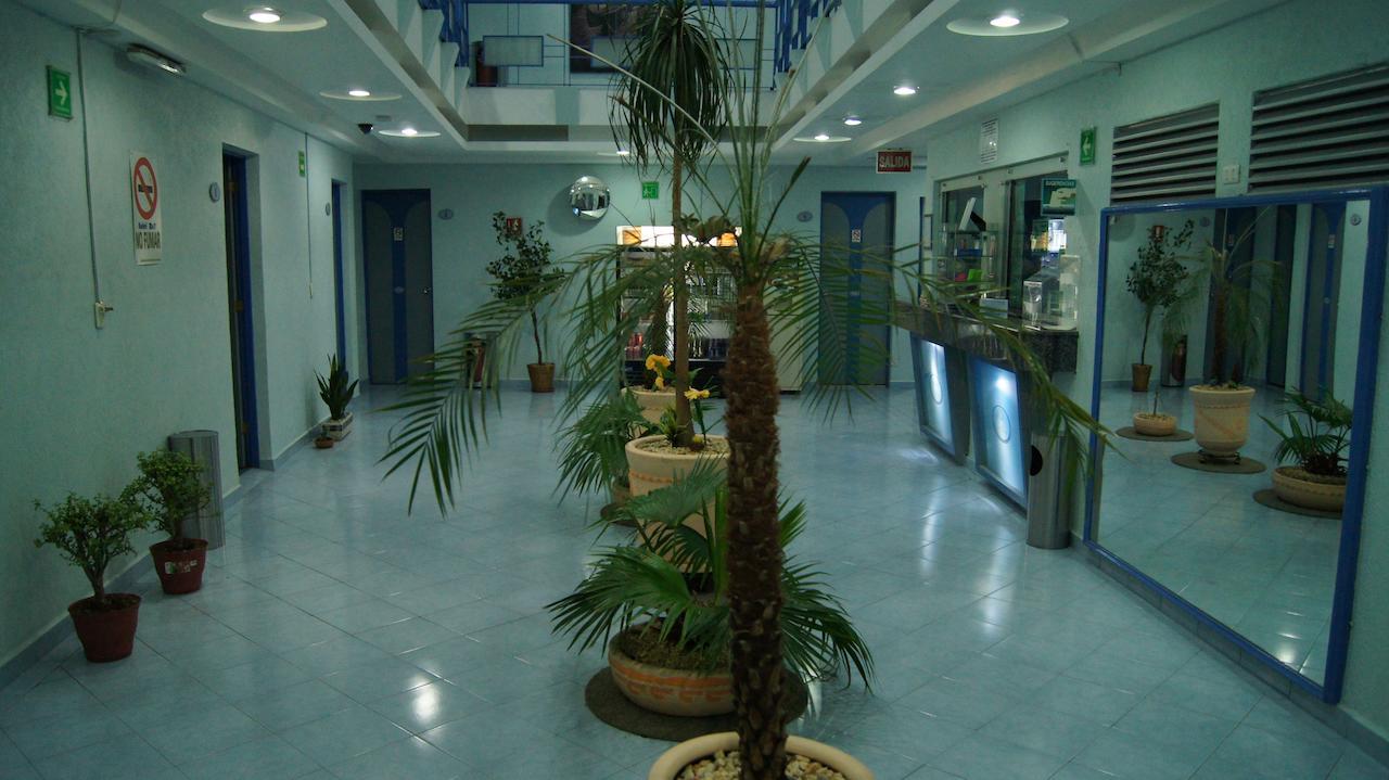 Hotel Muy (Adults Only) Mexico City Exterior photo